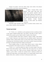 www.speros.lt